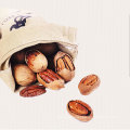 Wholesale Agriculture Products Pecans Nut snacks